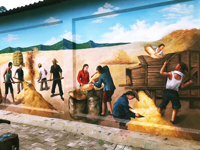 美丽乡村墙体彩绘 壁画艺术点亮乡村新风貌